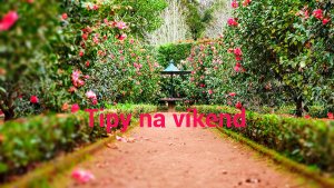 Photo by Ignacio Correia 🔴 on Unsplash