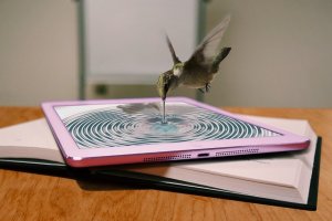 Image by maja7777 from Pixabay