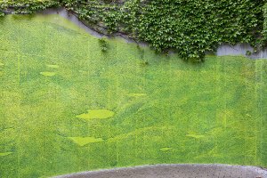 Bořislavka_Autor fotek: Martin Micka