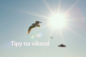 Photo by Tschernjawski Sergej on Unsplash