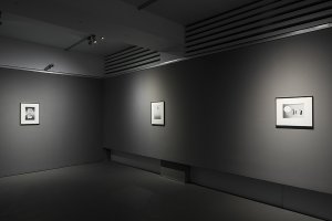 Jiří Thýn Mlčení, Torzo, Přítomnost GHMP Foto Tomáš Souček