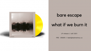 Bare Escape What If We Burn It
