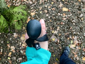 Zdroj a foto: www.fisaf.cz a www.komorafitness.cz