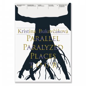 Kristina Bukovcakova Plagát