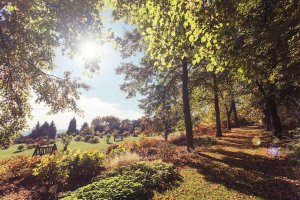 BZ HMP Horní Zahrada Podzim