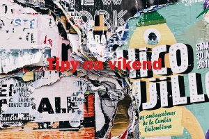 Photo by Alice Donovan Rouse on Unsplash