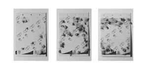 © Adéla Leinweberová