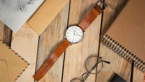 Bergsmith Ace Venture