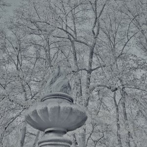 ilustrační foto archiv