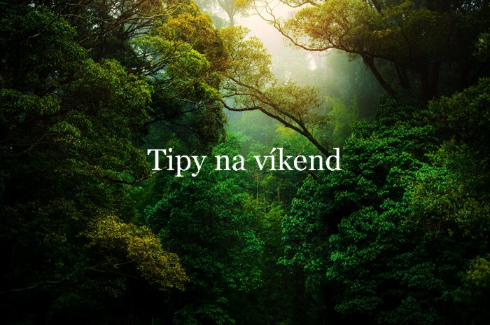 Tipy Na Víkend 12. – 14. Listopadu