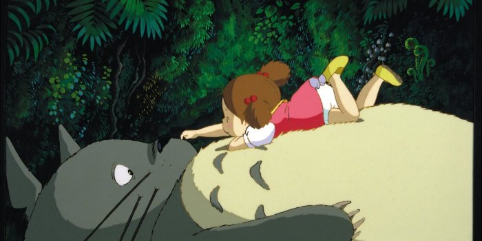 Můj Soused Totoro