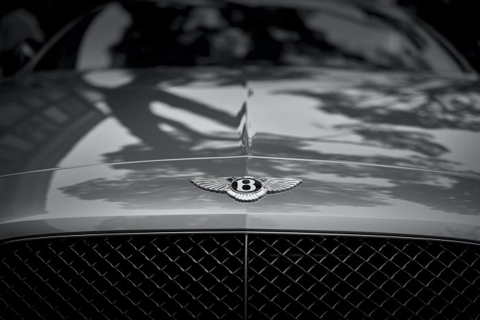 Rychlost A Elegance Aneb 3 Nejzajímavější Vozy Bentley Všech Dob