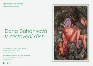 Sahankova Email