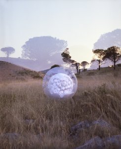 Jan Dotřel Blastula