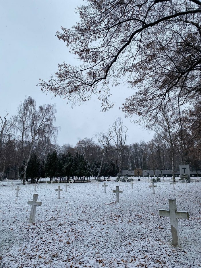 Hřbitovní Procházky V Lednu