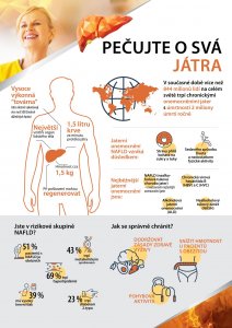 Infografika 1