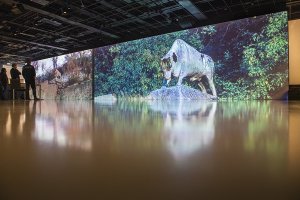 ASANACE Expozice_IPR Praha