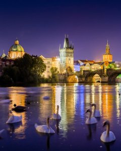 Azamat Esmurziyev LFXnsJ3uF5c Unsplash