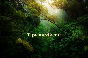 Photo by Kunal Shinde on Unsplash