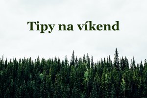 Photo by Michael Benz on Unsplash