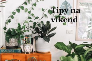 Photo by Prudence Earl on Unsplash