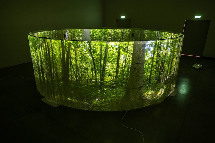 Umělecká instalace, lesní observatoř Silva. Foto Goethe-Institut (2).jpg