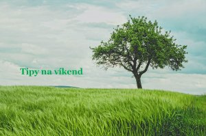 Photo by Johann Siemens on Unsplash