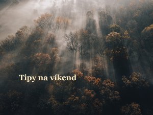 Photo by Brendan Beale on Unsplash