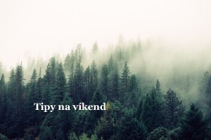 Photo by Jay Mantri on Unsplash