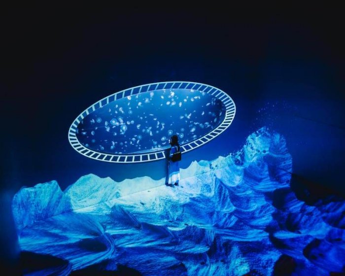 Největší Kulovité Akvárium Mají Na Pankráci. Svět Medúz Se Dnes Zapsal Do Guinnessovy Knihy Rekordů