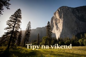 Photo by Adam Kool on Unsplash