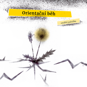 Orientacni Beh Ctverec