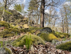 Křivoklátsko, foto MŽP