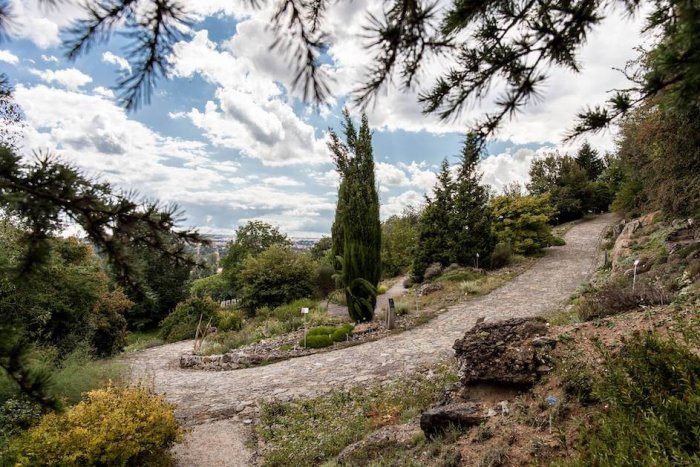 Objevte Krásy Kypru V botanické Zahradě V Troji