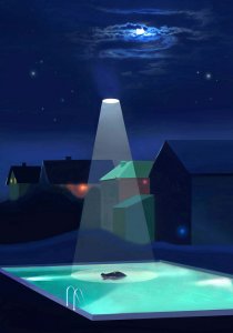 JAN WESSEL: Krokedille