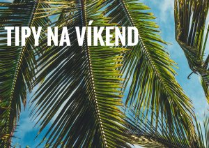 Obrázek JPEG 9D52089456B4 1