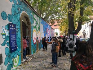 103772663 3022856201145887 9119103573078629720 N