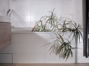 Foto Vojtěch Veškrna