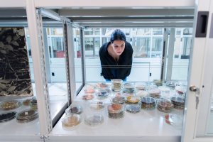 Valoch & Valoch: archeologie a konceptuální umění / Foto: archiv Moravské galerie v Brně“