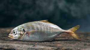 Foto Harris Vo / unsplash.com