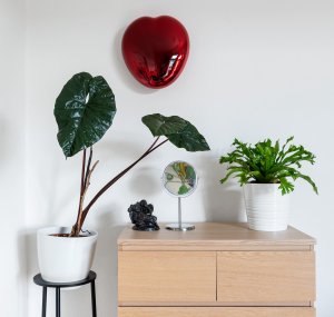 Dominika Petrtylova Srdce 8