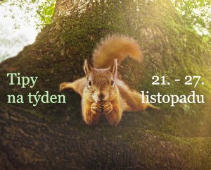 Nový francouzský film SRDCE DUBU uvidíte  také v rámci Festivalu francouzského filmu, info v textu / Foto Bohemia Motion Pictures