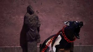 Markéta Magidová