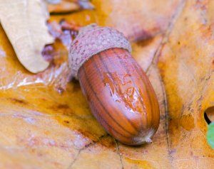 Foto Yoksel Zok / unsplash.com