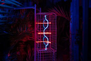 Výstava NE - ON  v Galerii Kuzebauch výtvarníka Davida Černého Davida / Foto Martin Faltejsek