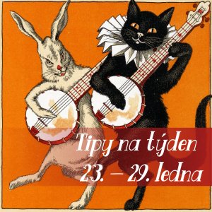 Hodně štěstí v novém lunárním roce Králíka (ve Vietnamu Kočky)! / Foto Pixabay.com