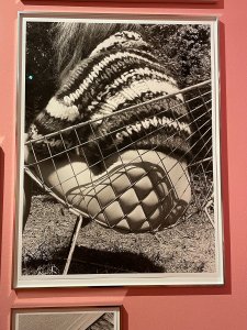 Galerie Foam, Kooiker