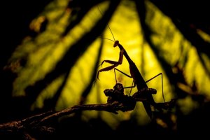 Foto: Petr Jan Juračka