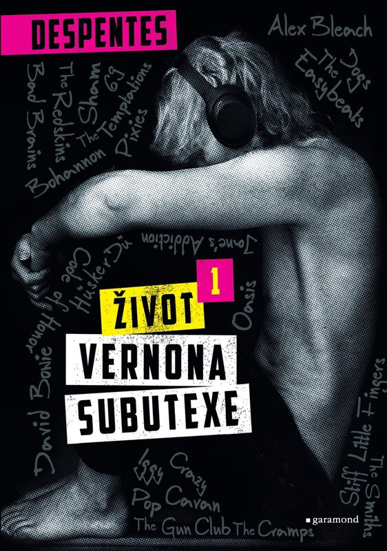 Ukázky: Francouzský Rockerský Román Život Vernona Subutexe
