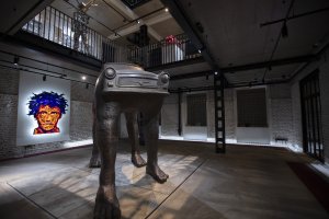 Přízemí (Foto David Černý)